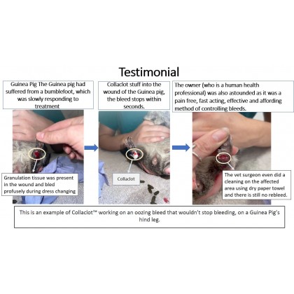 Haemostatic Collagen Sponge (Collaclot) 10x7.5cm