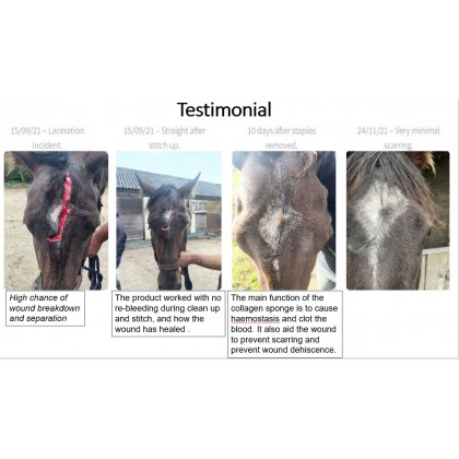 Haemostatic Collagen Sponge (Collaclot) 10x7.5cm